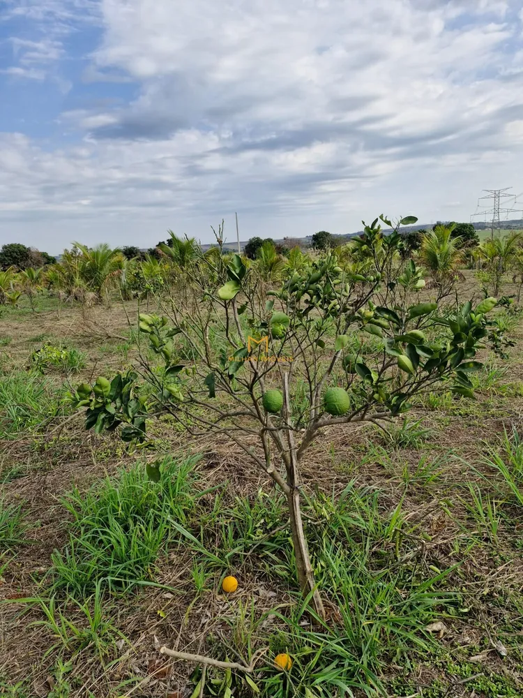 Terreno, 1000 m² - Foto 3