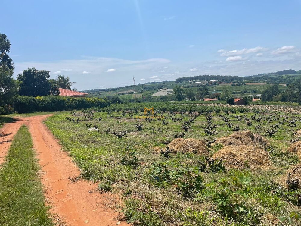 Depósito-Galpão - Foto 2