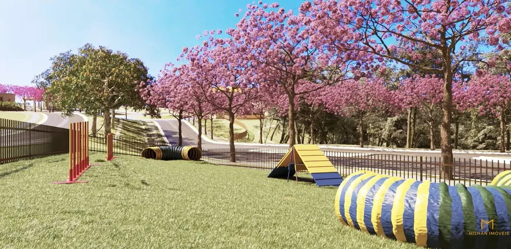 Terreno, 605 m² - Foto 6