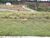 Terreno, 175 m² - Foto 1