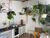 Casa, 2 quartos, 60 m² - Foto 8