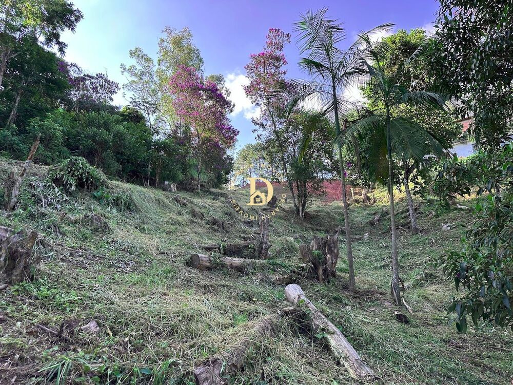 Terreno, 2500 m² - Foto 7