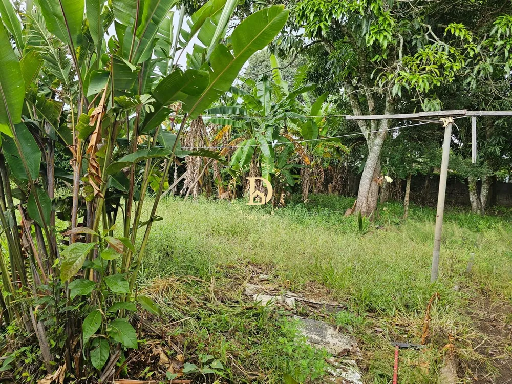 Casa, 3 quartos, 355 m² - Foto 5