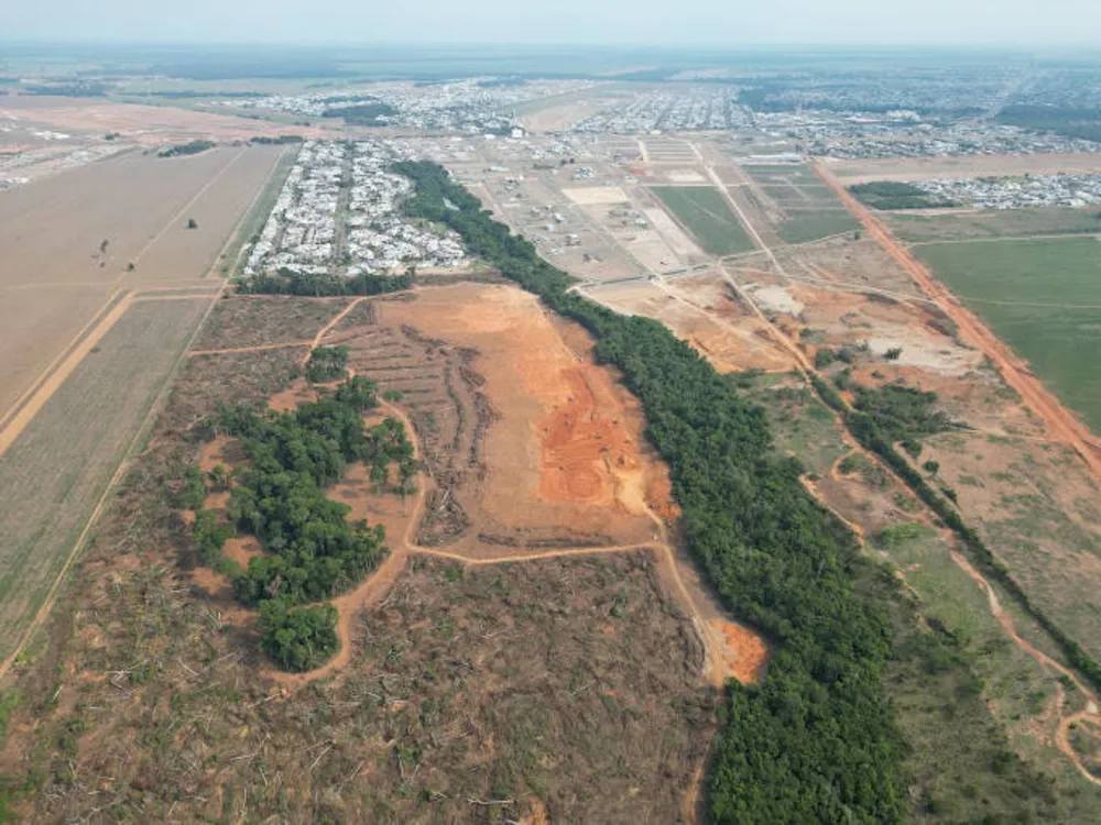 Terreno, 350 m² - Foto 4