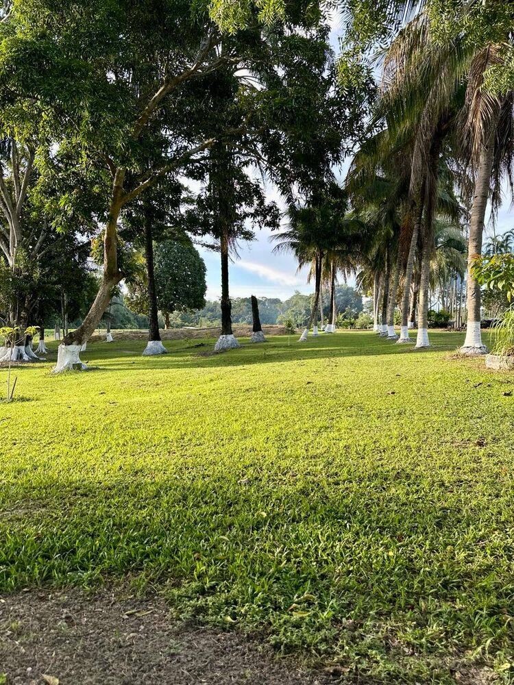 Terreno, 12 m² - Foto 1