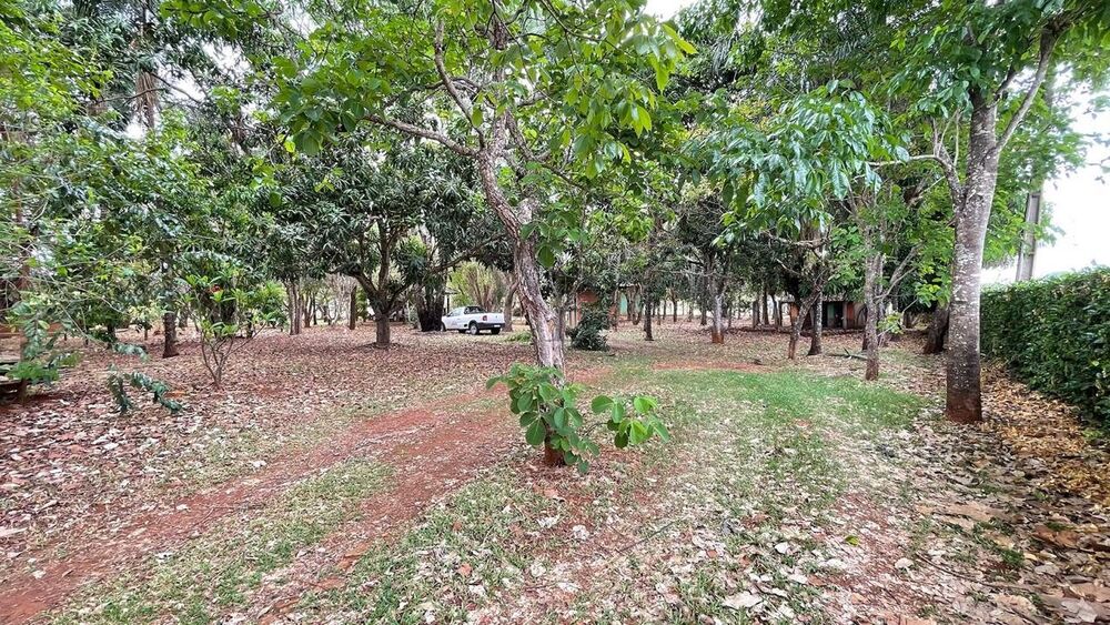 Chácara, 2 quartos, 10000 m² - Foto 11