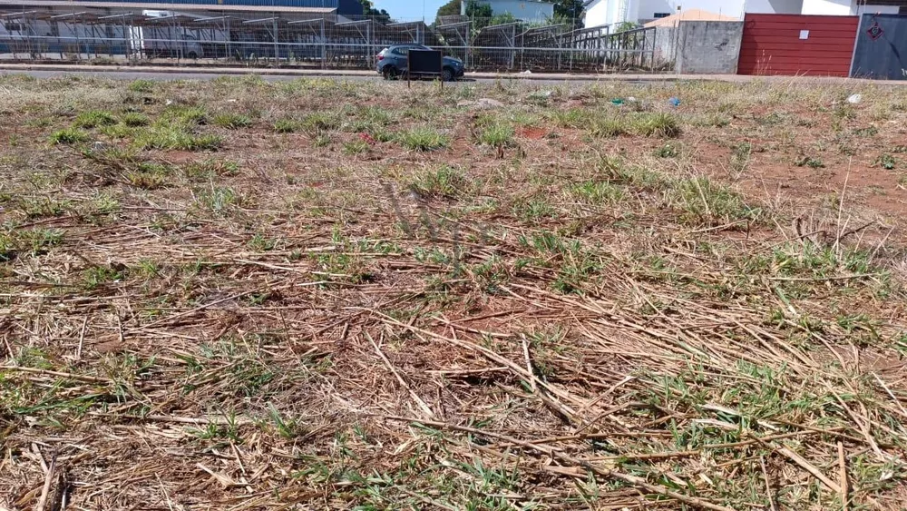 Terreno, 240 m² - Foto 3