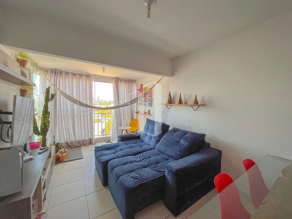 Apartamento, 3 quartos, 74 m² - Foto 3