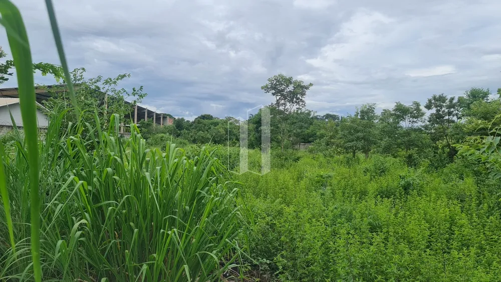 Loteamento e Condomínio, 5000 m² - Foto 4