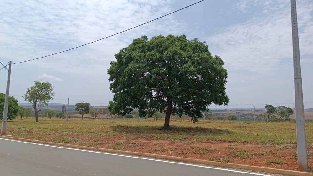 Terreno à venda, 976m² - Foto 6