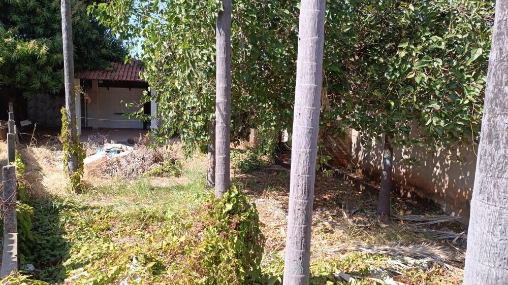 Casa, 3 quartos, 292 m² - Foto 4
