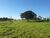 Chácara, 1500 m² - Foto 22