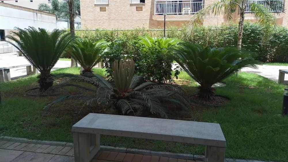 Apartamento, 3 quartos, 54 m² - Foto 14