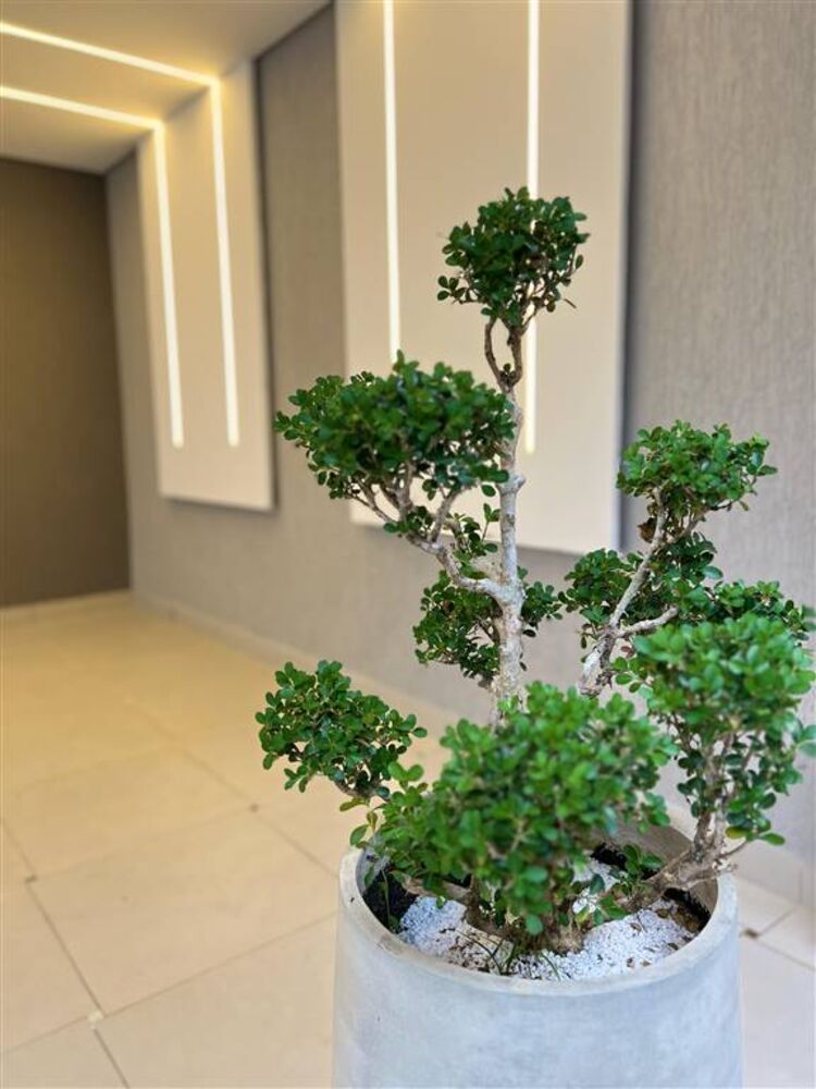 Sobrado, 2 quartos, 60 m² - Foto 3