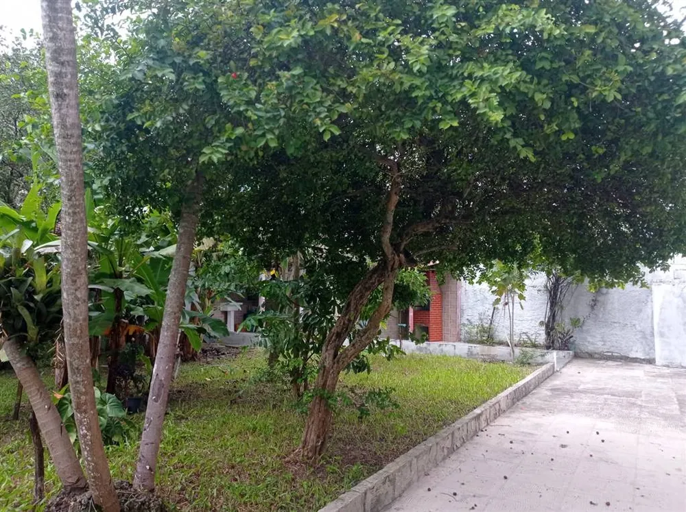 Cobertura, 5 quartos, 206 m² - Foto 14