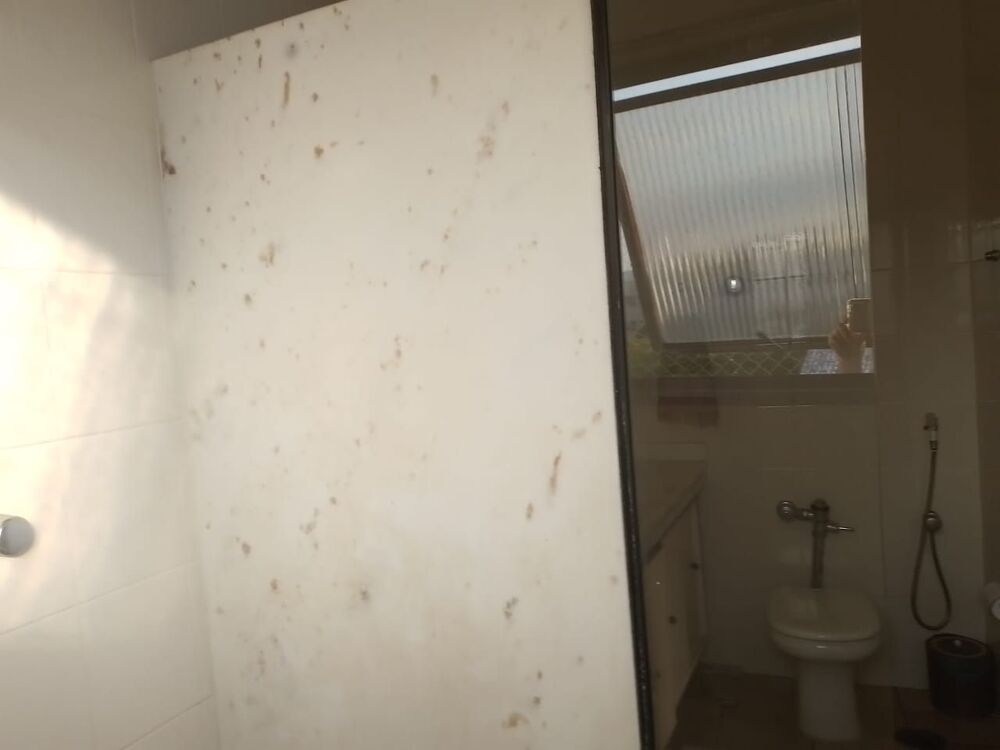 Apartamento, 3 quartos, 258 m² - Foto 8
