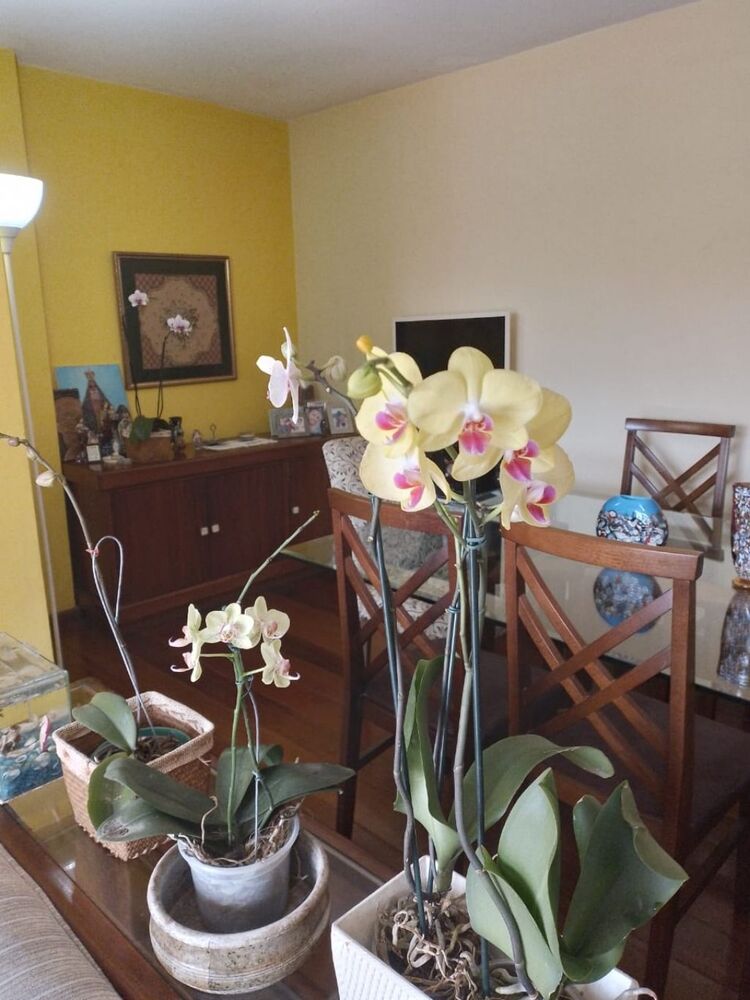 Apartamento, 3 quartos, 258 m² - Foto 11