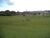 Terreno, 3 hectares - Foto 2
