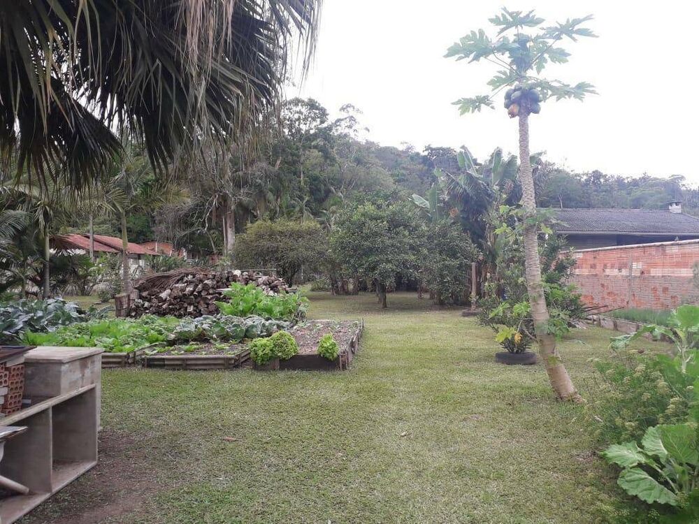 Terreno, 4255 m² - Foto 3