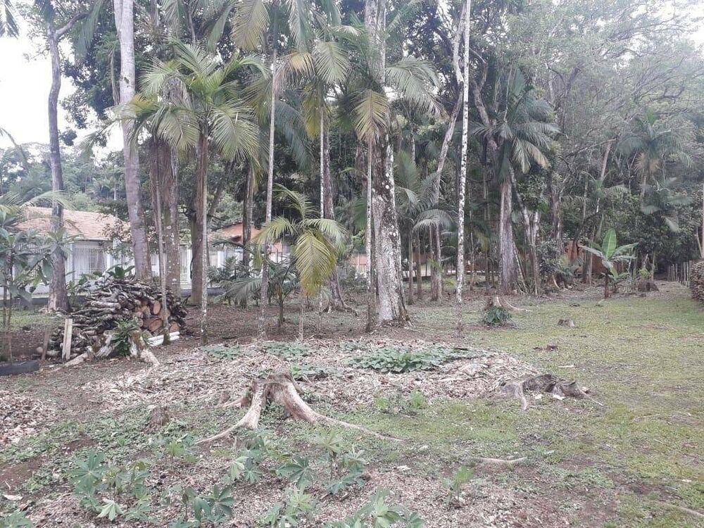 Terreno, 4255 m² - Foto 2