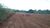 Terreno, 2 hectares - Foto 7