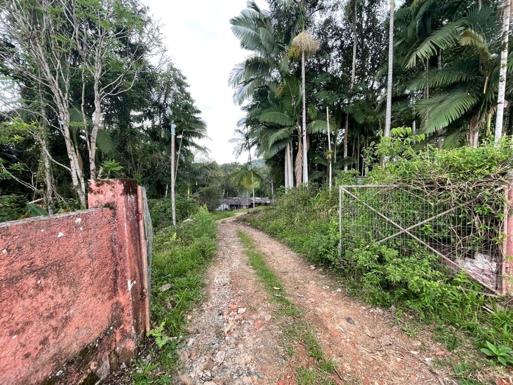 Terreno, 1 hectares - Foto 3