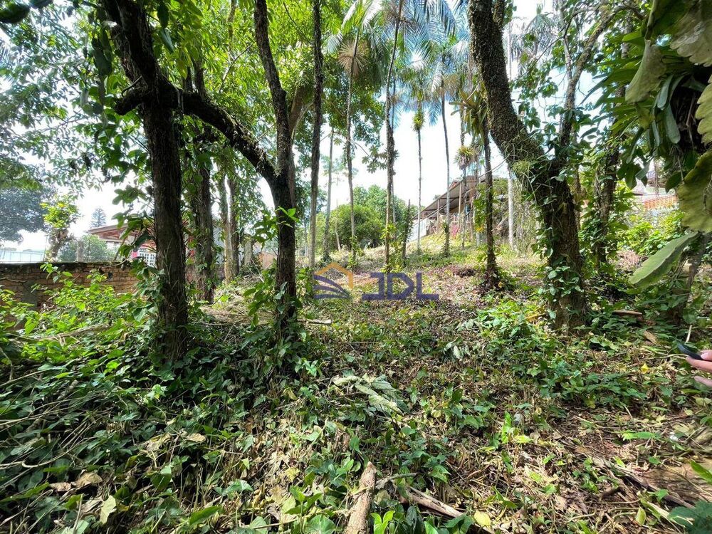 Terreno, 565 m² - Foto 3