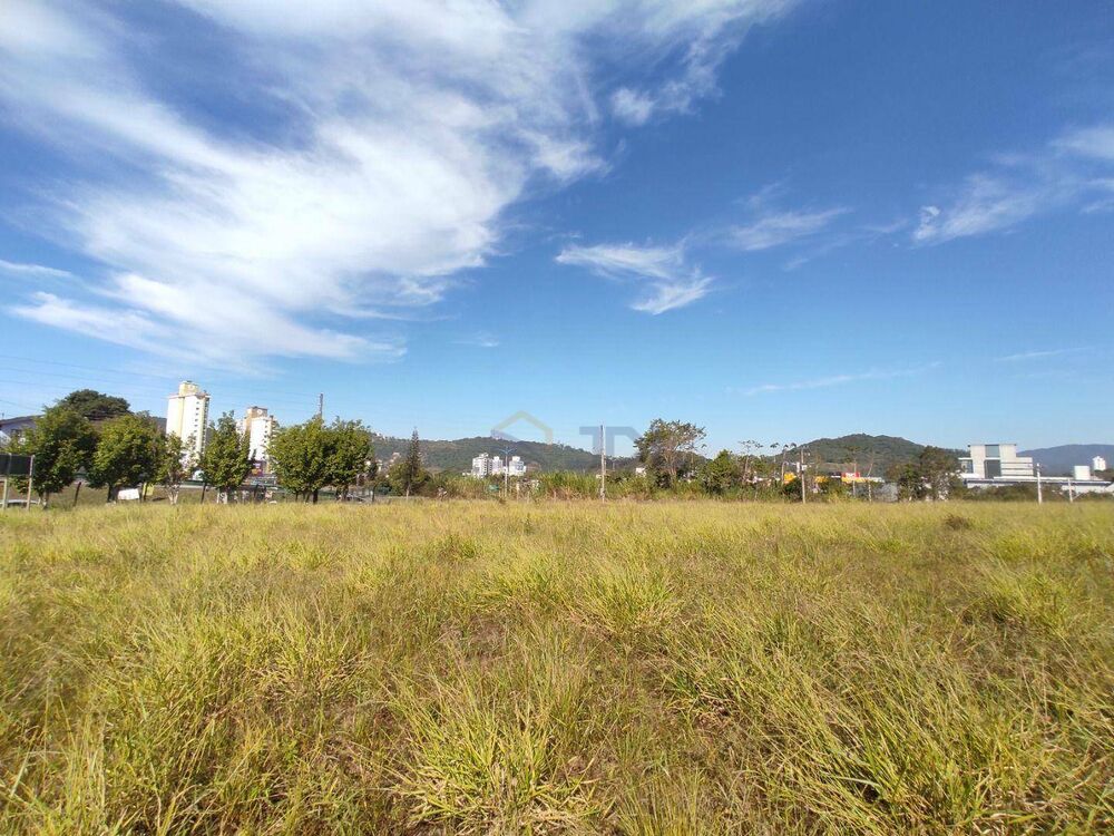 Terreno, 6781 m² - Foto 2