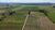 Terreno, 68 hectares - Foto 2
