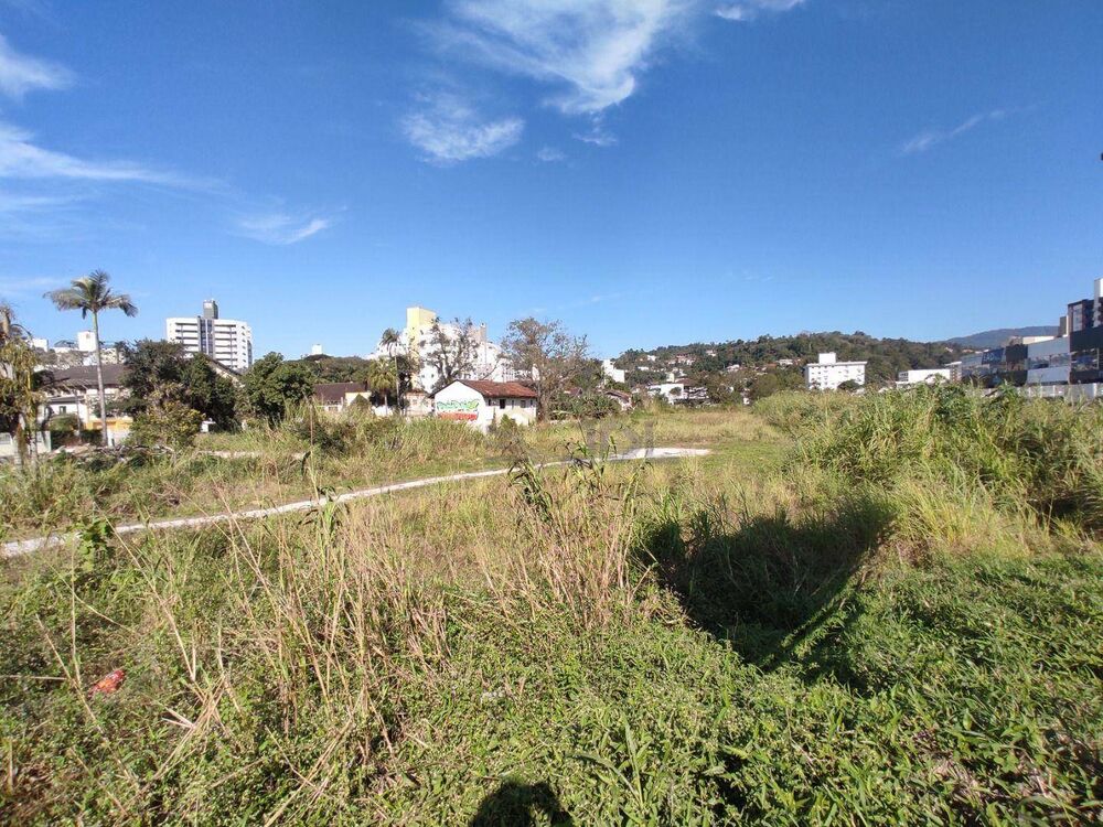 Terreno, 1 hectares - Foto 3