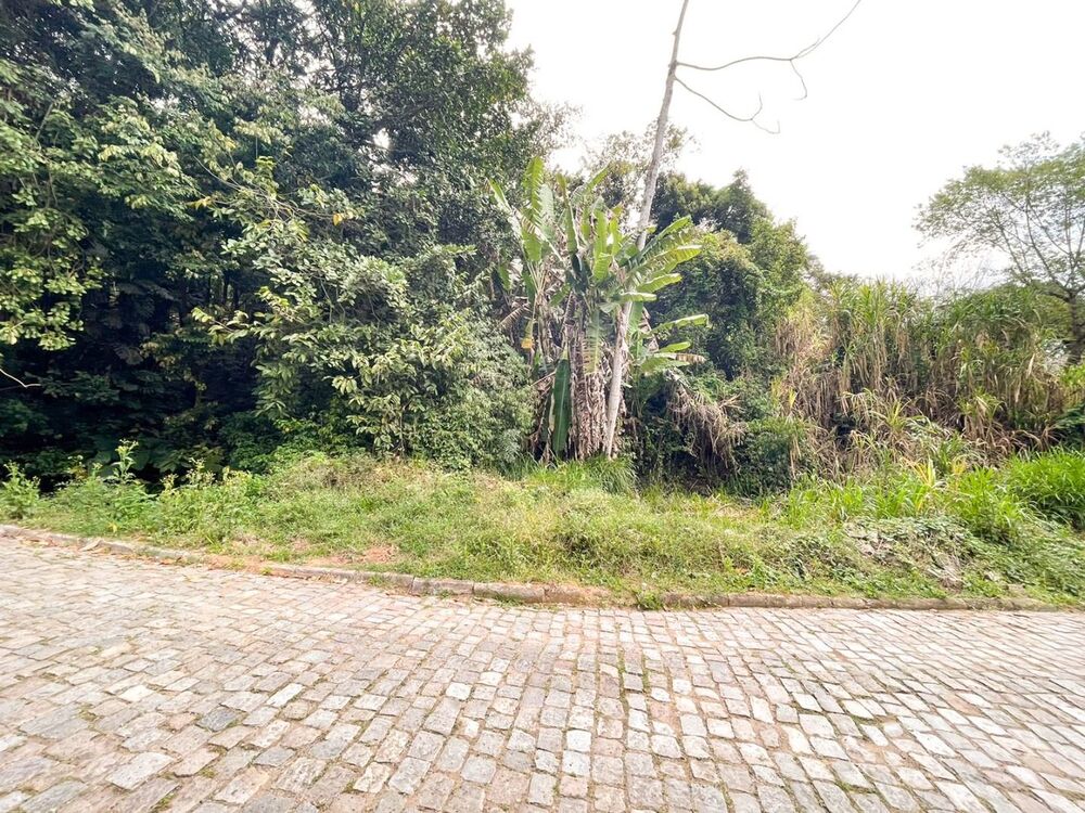 Terreno, 1864 m² - Foto 3