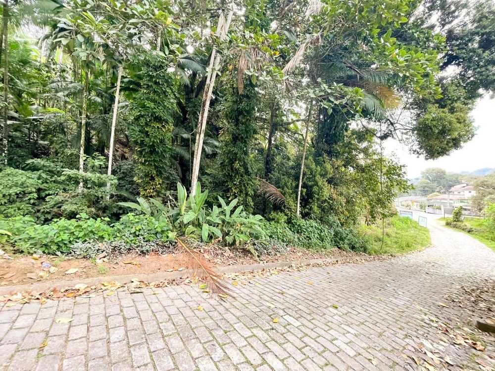 Terreno, 1864 m² - Foto 6