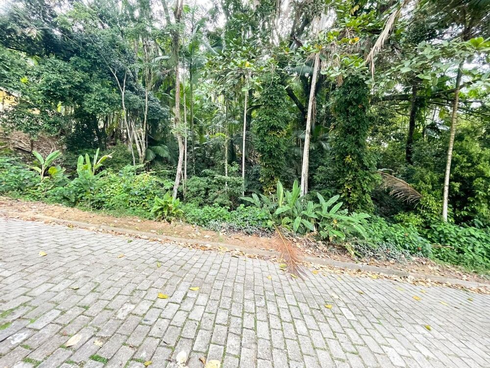 Terreno, 1864 m² - Foto 4