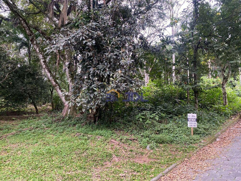 Terreno, 2494 m² - Foto 4