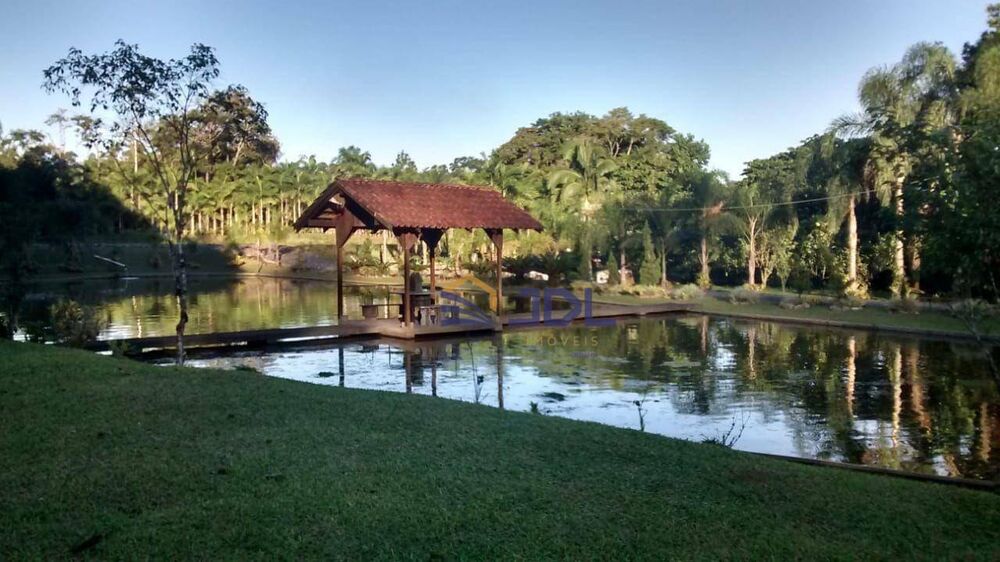 Sítio, 9 hectares - Foto 7