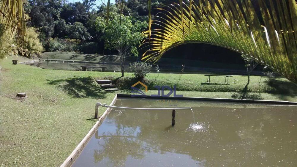 Sítio, 9 hectares - Foto 6