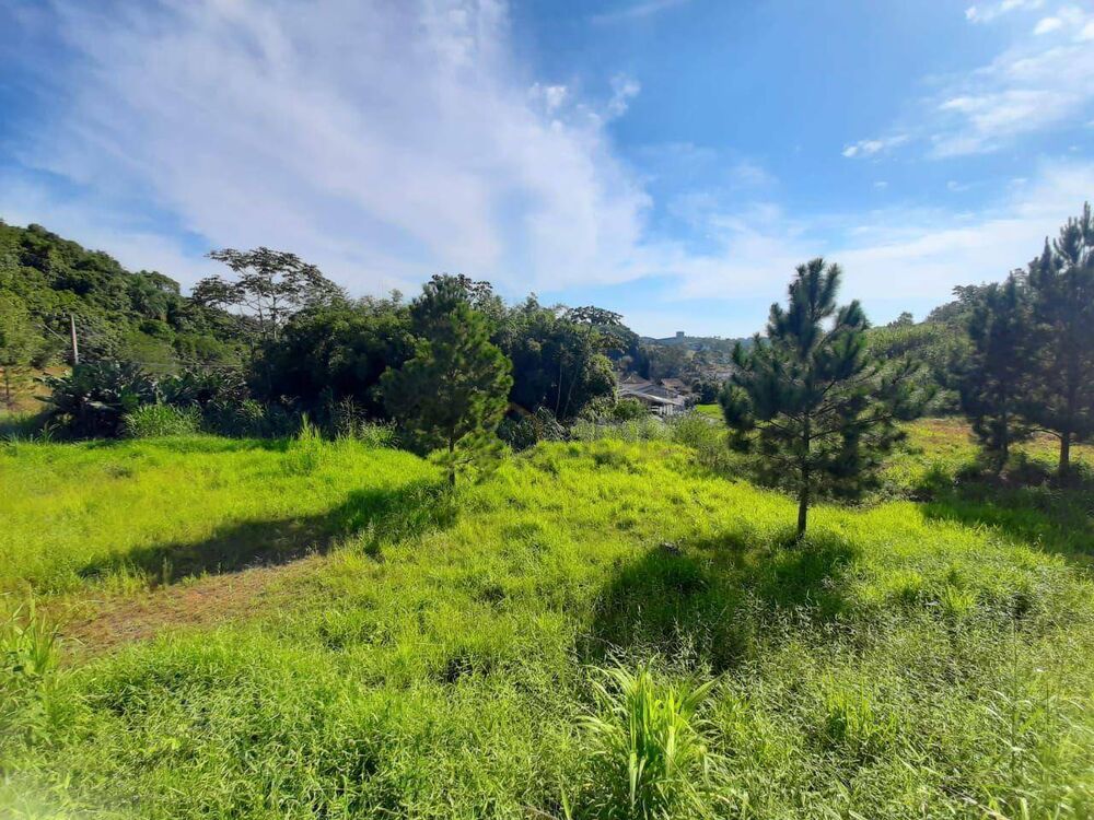 Terreno, 5000 m² - Foto 2