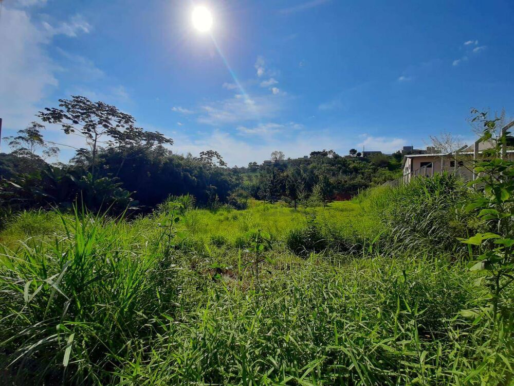 Terreno, 5000 m² - Foto 1