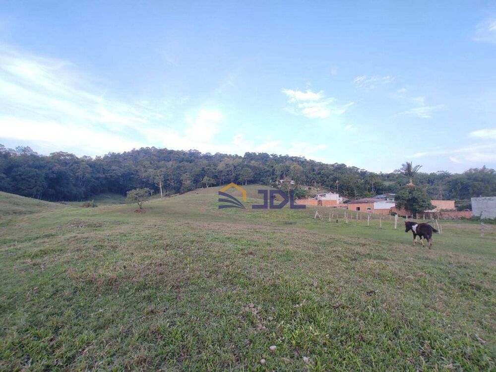 Terreno, 8 hectares - Foto 6