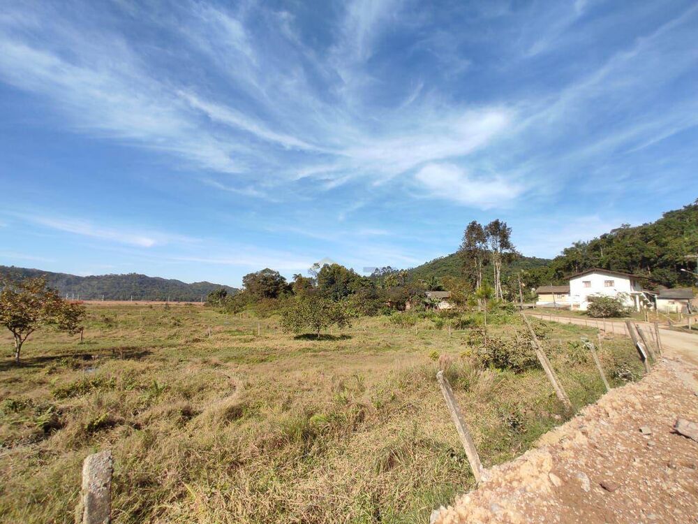 Terreno, 5 hectares - Foto 3