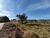 Terreno, 5 hectares - Foto 4