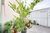 Casa, 2 quartos, 91 m² - Foto 2