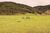 Terreno, 10 hectares - Foto 3