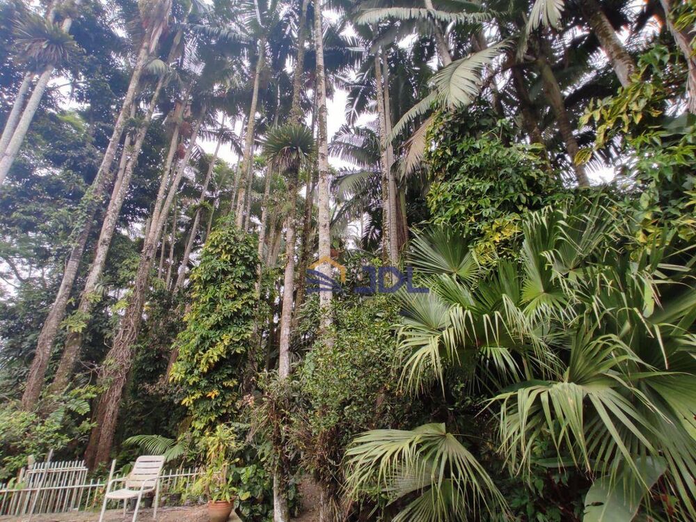 Terreno, 4200 m² - Foto 2