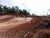 Terreno, 2 hectares - Foto 3
