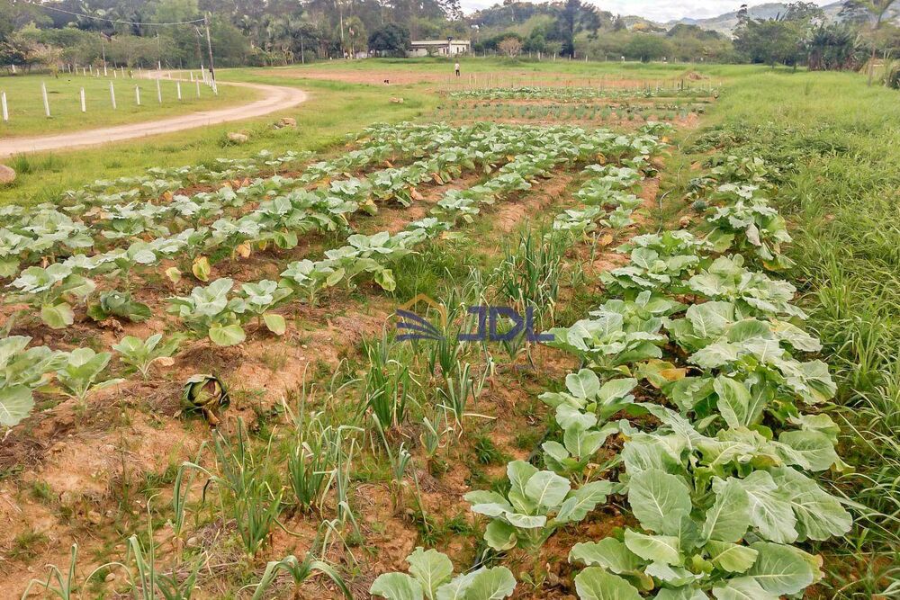 Terreno à venda, 60000M2 - Foto 9