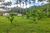 Terreno, 6 hectares - Foto 10
