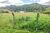 Terreno, 6 hectares - Foto 3