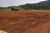 Terreno, 6 hectares - Foto 14