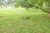 Terreno, 6 hectares - Foto 11